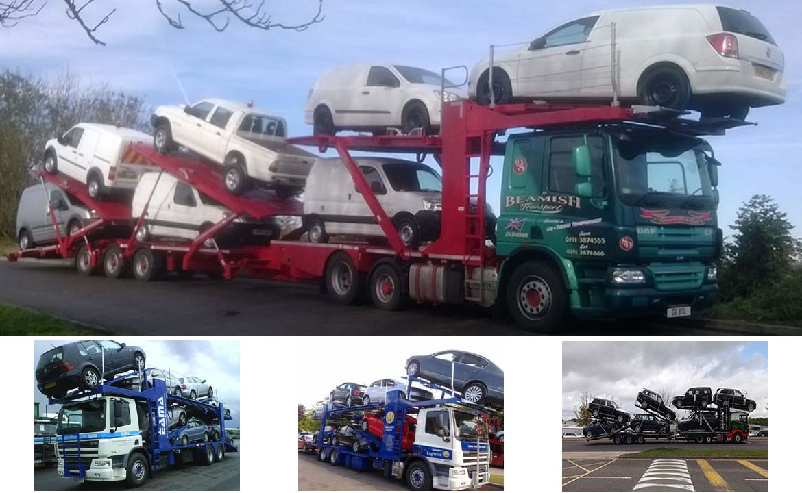 7 car transporter